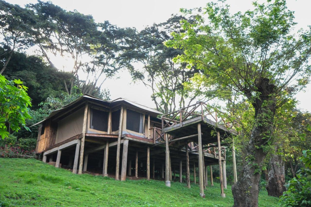 Cabană Karama Arusha